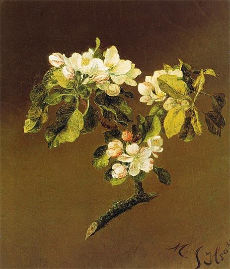 Martin Johnson Heade A Spray of Apple Blossoms 1870
